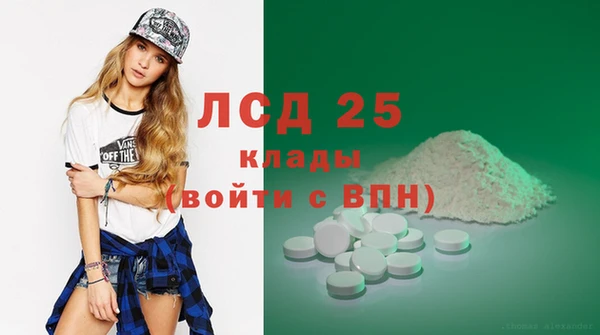 прущие грибы Переславль-Залесский