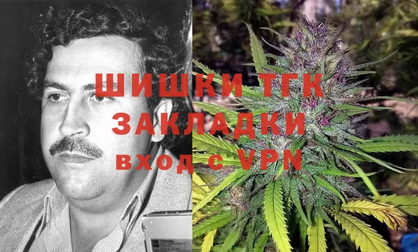 прущие грибы Переславль-Залесский