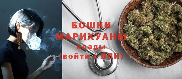 прущие грибы Переславль-Залесский