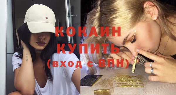 прущие грибы Переславль-Залесский
