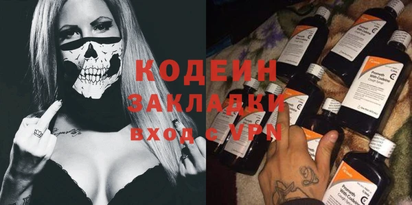 прущие грибы Переславль-Залесский