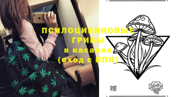 прущие грибы Переславль-Залесский