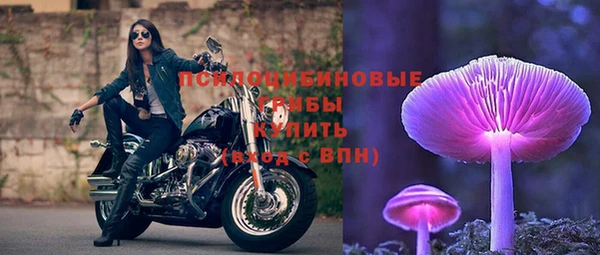 гидропоника Нестеровская