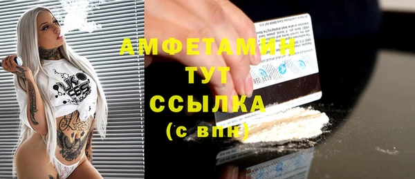 прущие грибы Переславль-Залесский