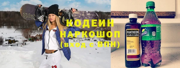 прущие грибы Переславль-Залесский